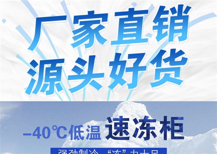 佰鲜制冷速冻柜 豆制品保鲜的明智之选